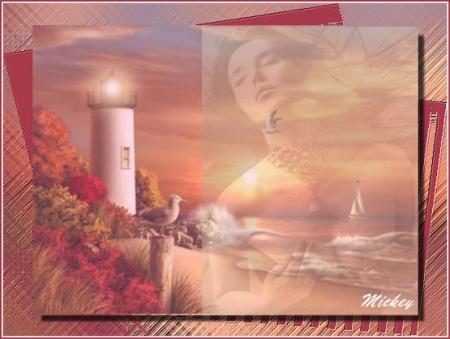 tag phare